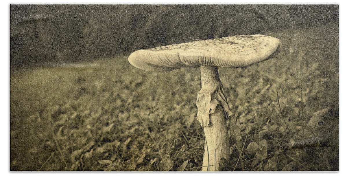 Toned Beach Towel featuring the photograph Toadstool by Edward Fielding