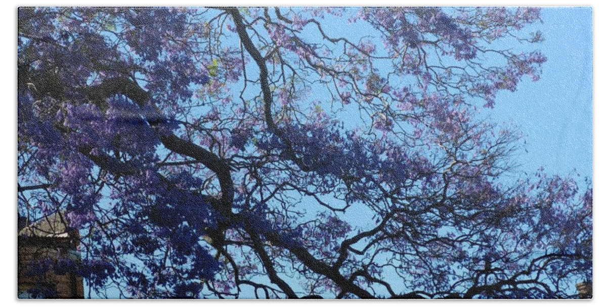 Jacaranda Beach Towel featuring the photograph Too Beautiful To Play With by Leanne Seymour