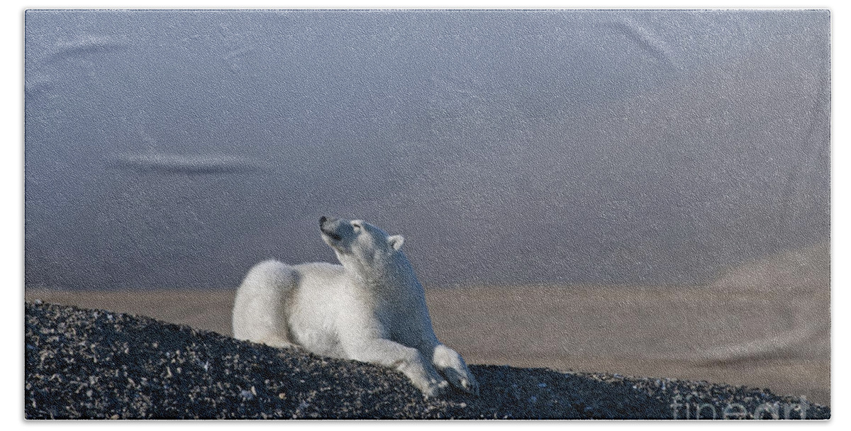 Arctic Beach Towel featuring the photograph Total Bliss.. by Nina Stavlund