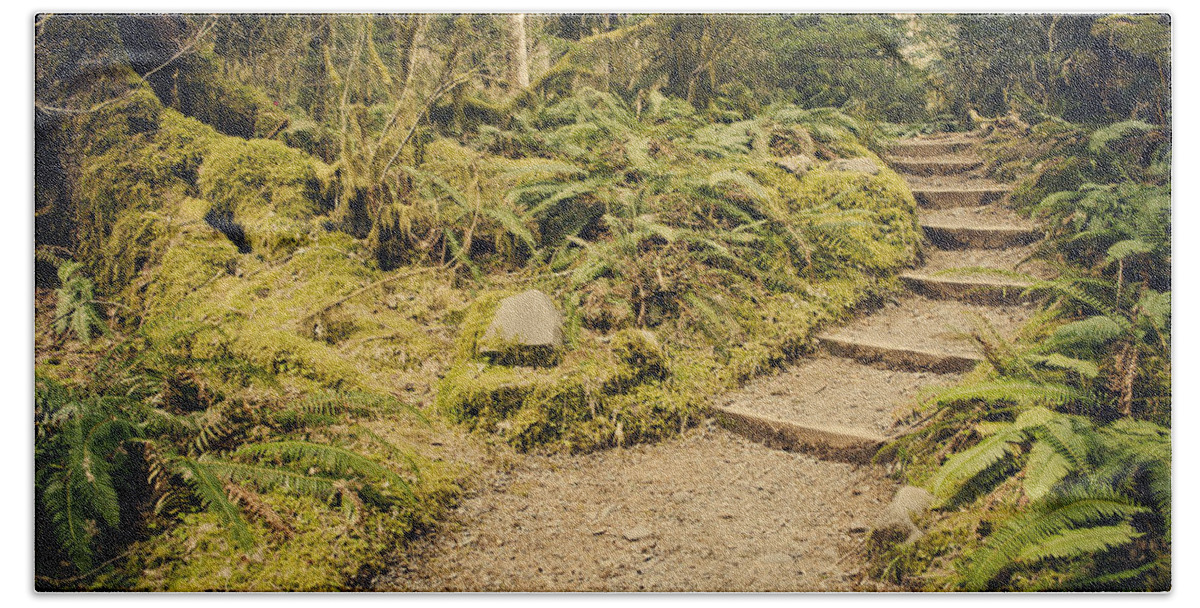 Hall Of Mosses Beach Towel featuring the photograph Trail Through the Moss by Heather Applegate