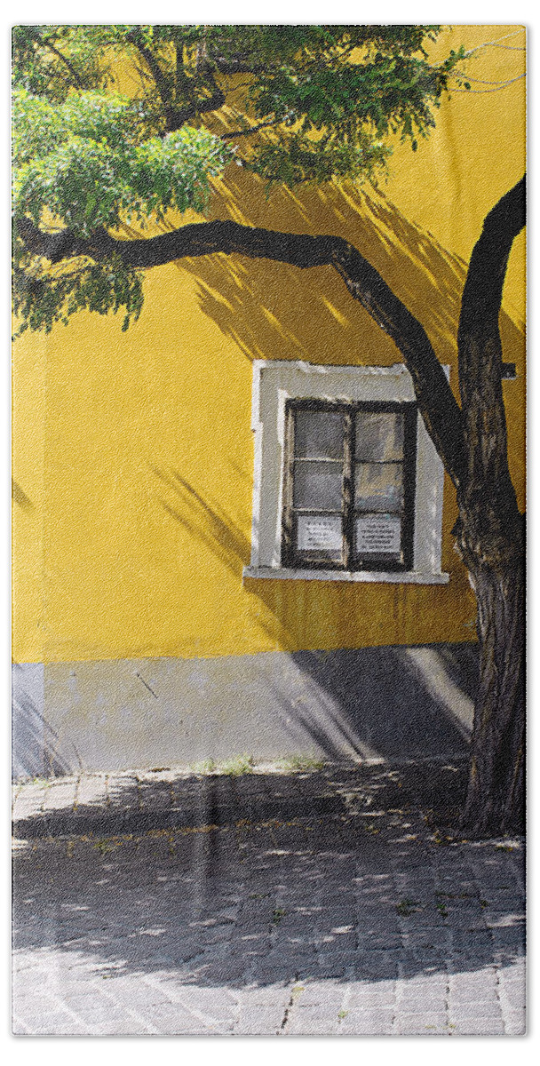 Szentendre Beach Sheet featuring the photograph Tree and Window by Rick Shea