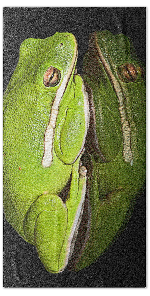 Tree Frog Canvas Print Beach Towel featuring the photograph Tree Frog Reflection by Lucy VanSwearingen