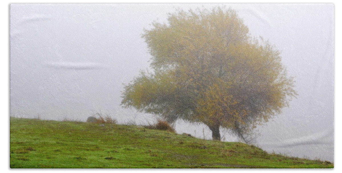 Scenic Beach Towel featuring the photograph Tree in the Fog by AJ Schibig