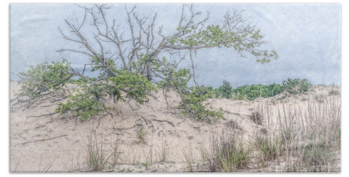 Tree On Beach Beach Towel featuring the digital art Tree on Beach Watercolor by Randy Steele