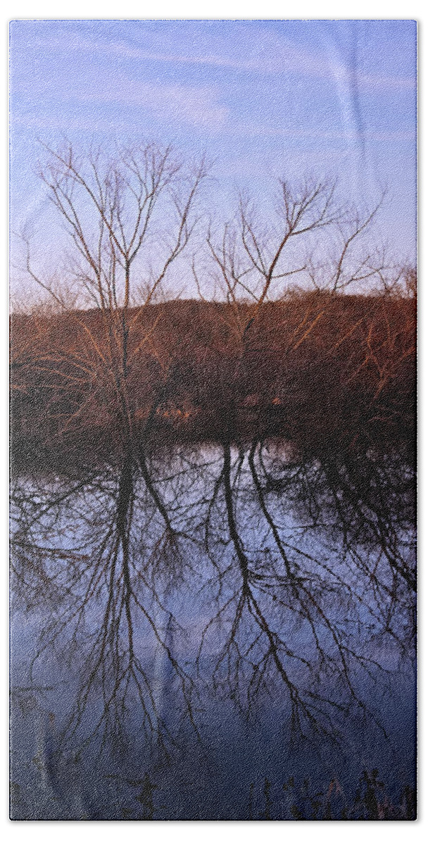 Landscape Beach Sheet featuring the photograph tree reflection on Wv pond by Flees Photos
