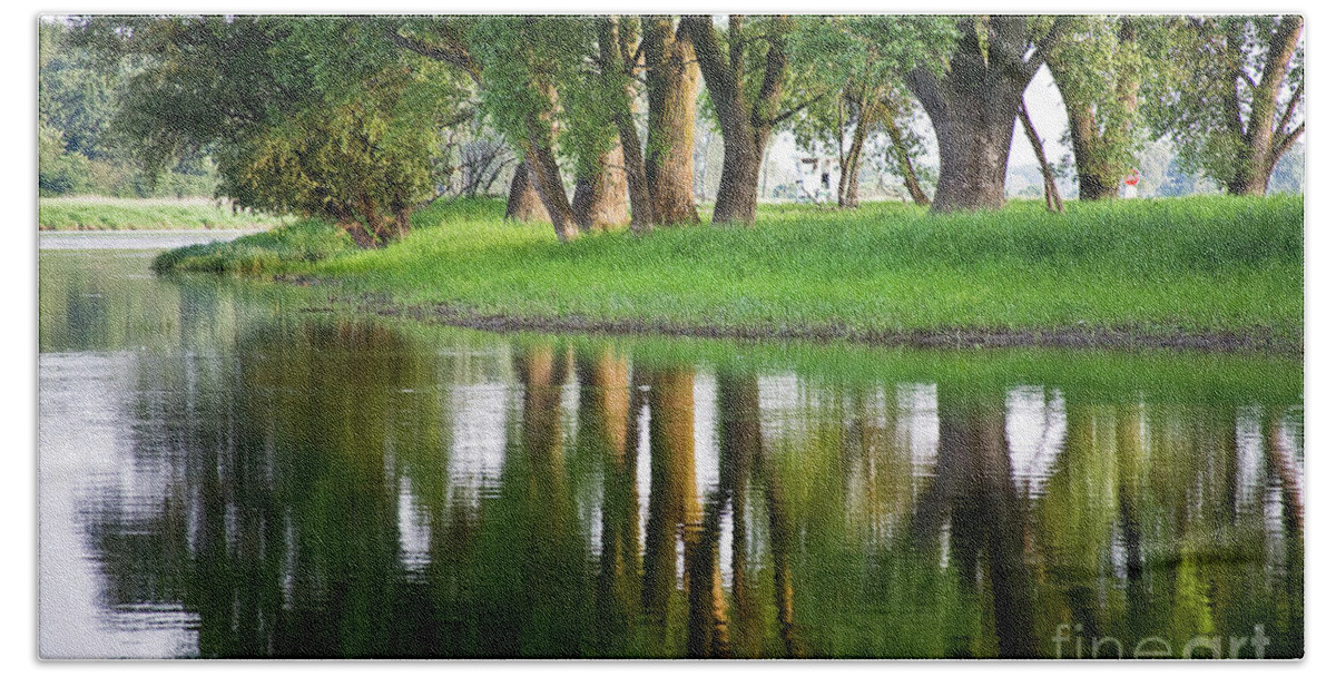 Water Beach Towel featuring the photograph Trees Reflection on the Lake by Heiko Koehrer-Wagner