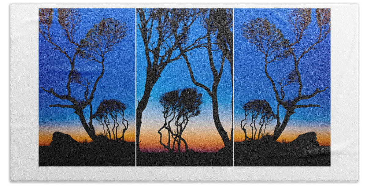 Beach Beach Towel featuring the photograph Triptych Trees Image Art by Jo Ann Tomaselli