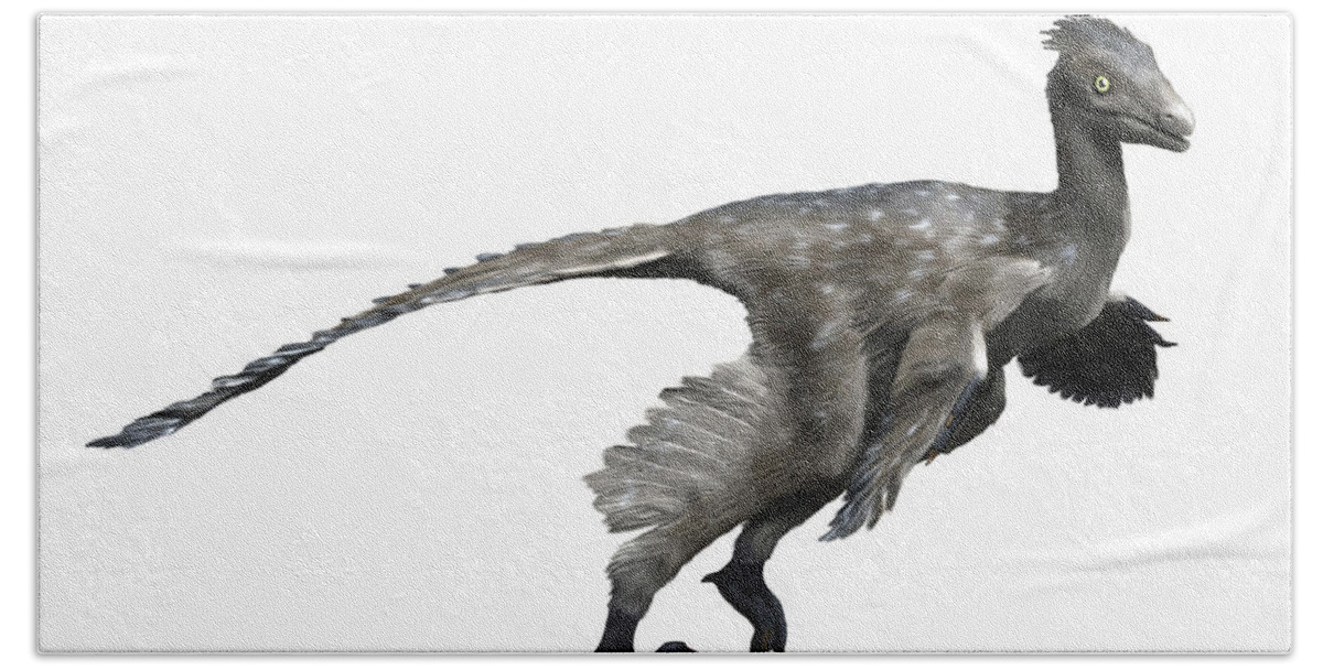 No People Beach Towel featuring the digital art Troodon Dinosaur by Nobumichi Tamura