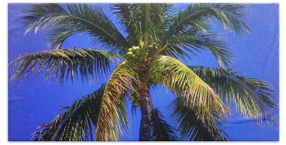 Duane Mccullough Beach Towel featuring the photograph Tropical Palm Trees 8 by Duane McCullough