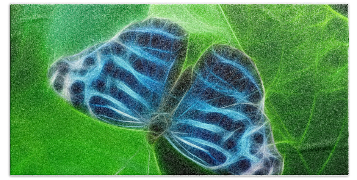 Butterfly Photographs Beach Towel featuring the photograph True Blue by Joann Copeland-Paul