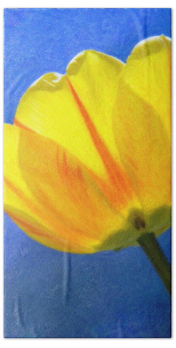 Tulip Beach Towel featuring the painting Tulip 2713 by Dean Wittle
