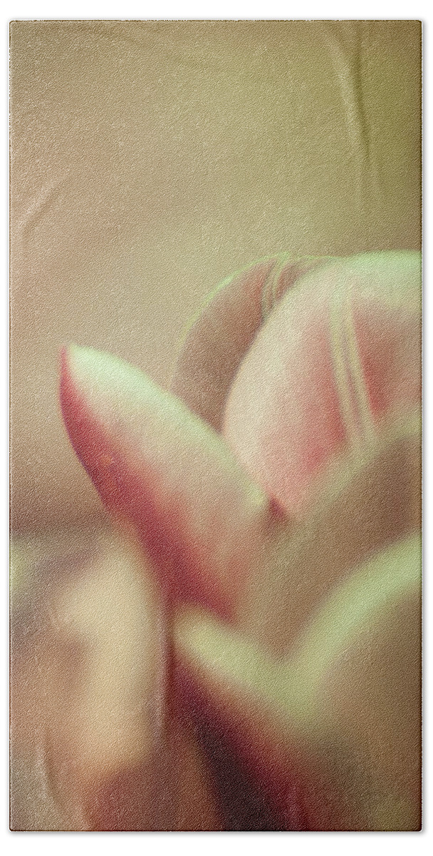 Tulips Beach Towel featuring the photograph Tulip Abstract by Jani Freimann