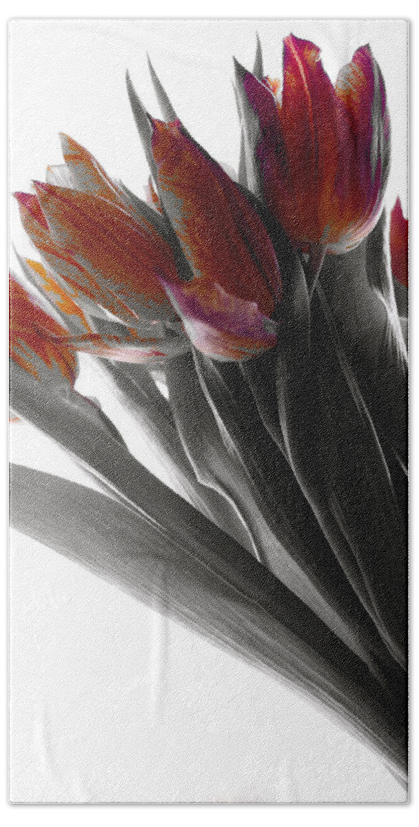 Tulips Beach Towel featuring the photograph Tulip Color Block by Joseph Hedaya