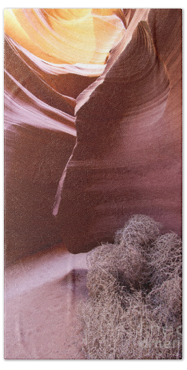 Nature Beach Towel featuring the photograph Tumbleweed in the canyon by Bryan Keil