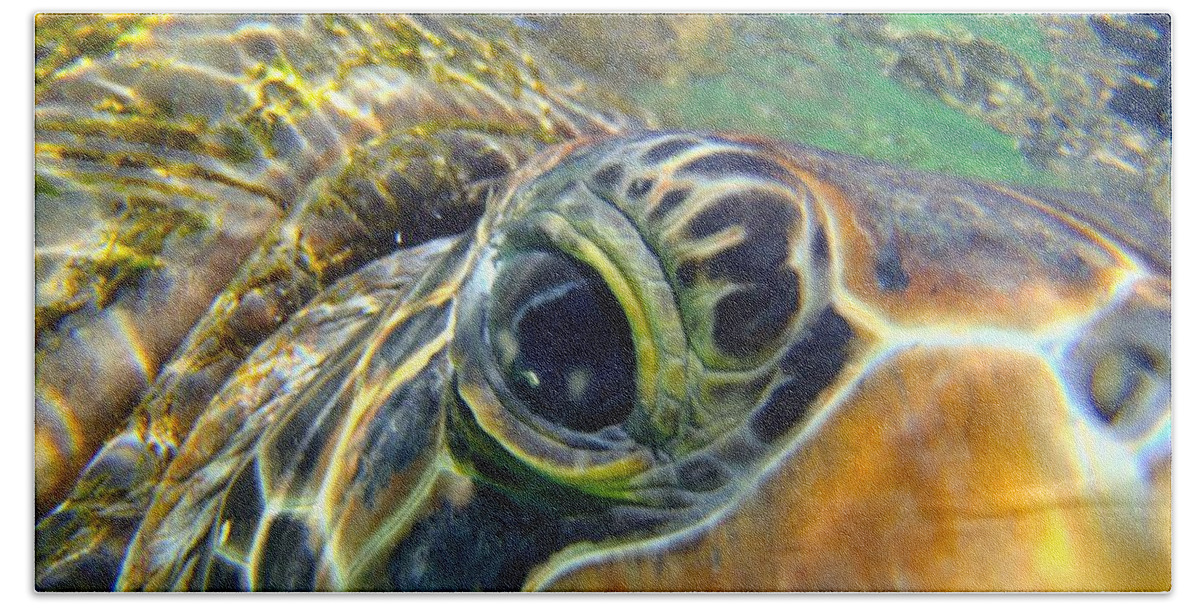 Turtle face Fleece Blanket by Carey Chen - Pixels