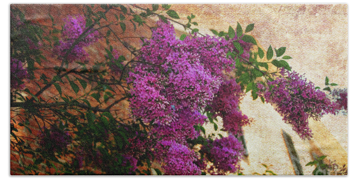 Lilacs Beach Towel featuring the photograph Tuscany Lilacs by Elaine Manley