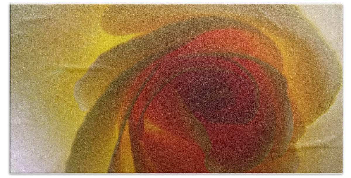Yellow Beach Towel featuring the photograph Unaltered Rose by Robyn King