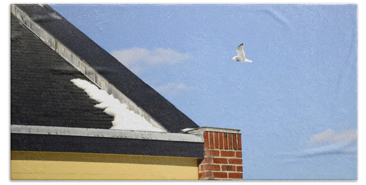 Seagull Beach Towel featuring the photograph Up and Over by Corinne Rhode
