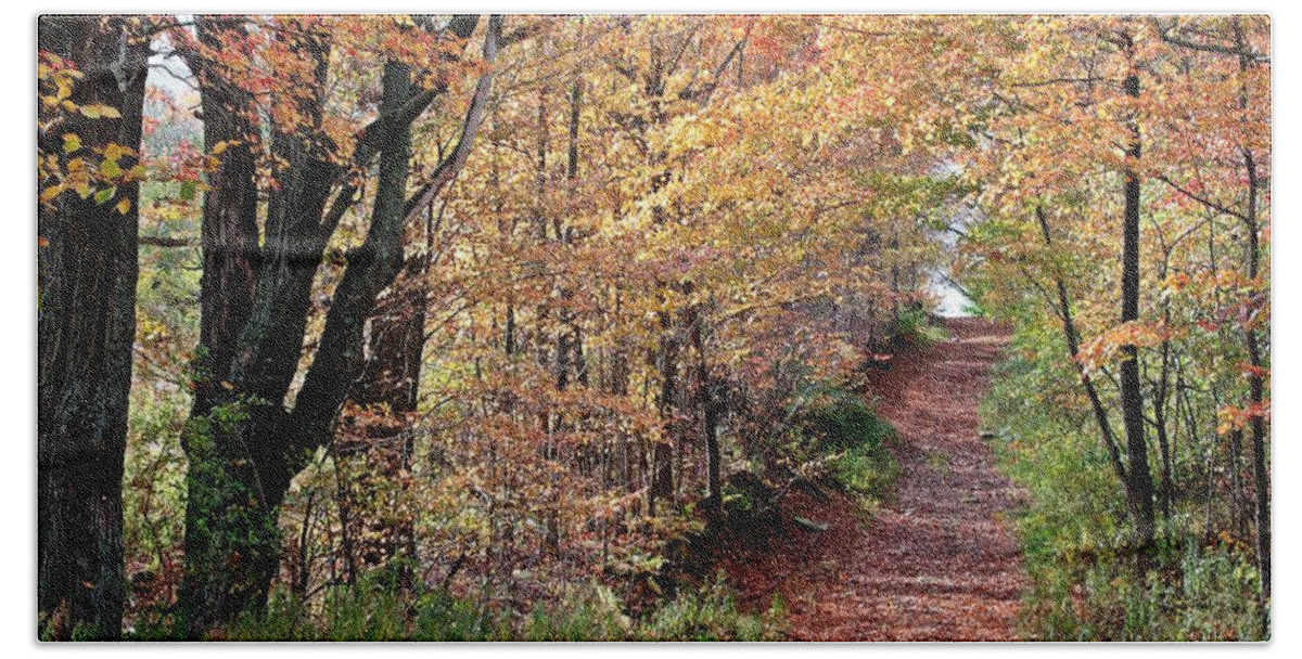Lane Beach Towel featuring the photograph Up the Wooded Lane by Christian Mattison