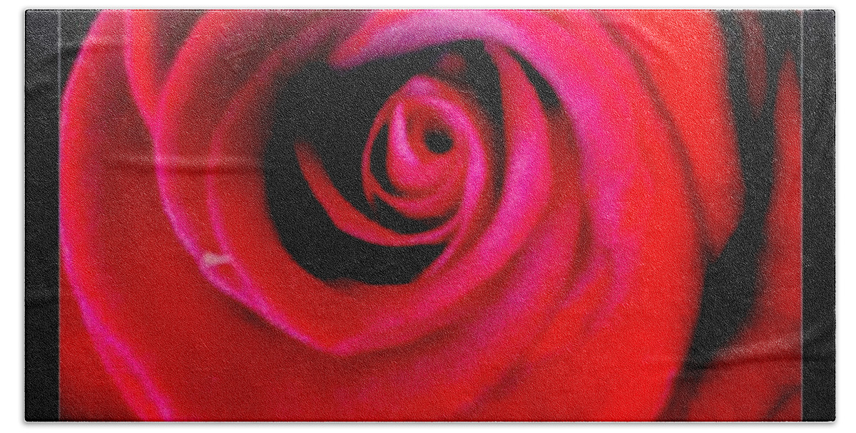 Rose Beach Towel featuring the photograph Velvet by Denise Railey