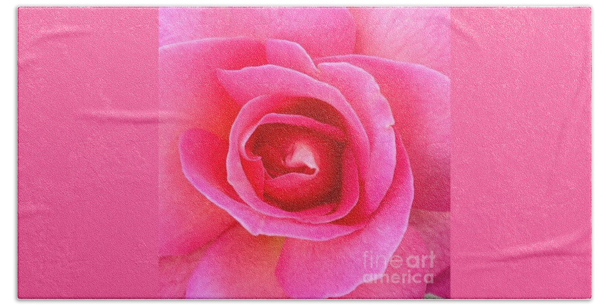 Rose Beach Towel featuring the photograph Vibrant by Denise Railey