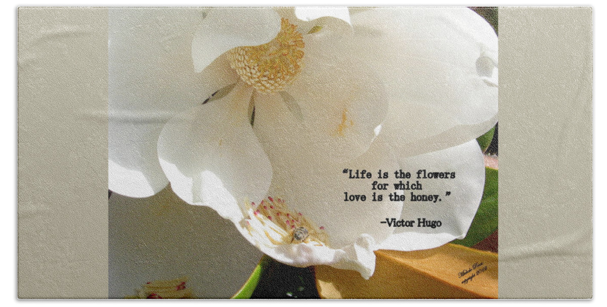 Flower Photograph Beach Towel featuring the photograph Victor Hugo 2 by Michele Penn