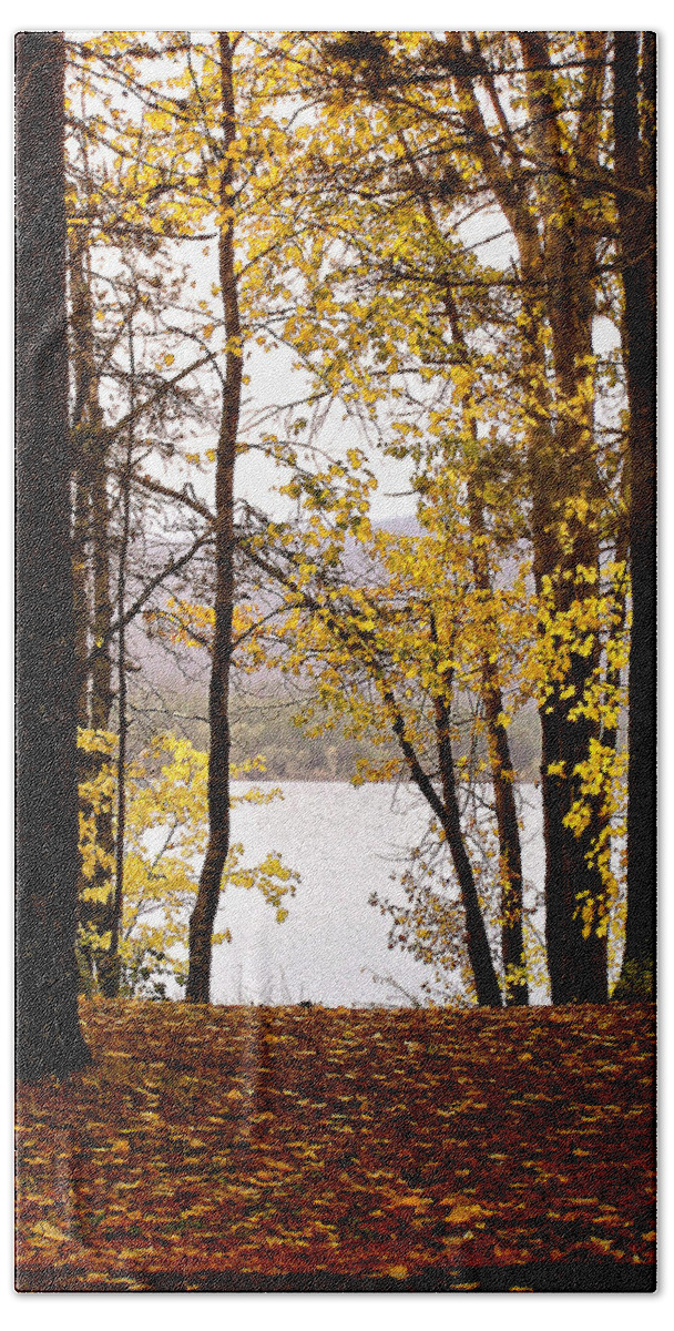 Glacier Park Beach Towel featuring the photograph View of Lake McDonald by Susan Kinney