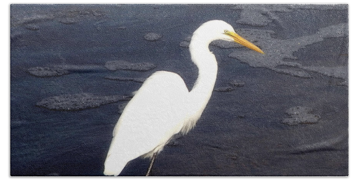 Egret Beach Sheet featuring the photograph Wading White Egret by Sharon Woerner