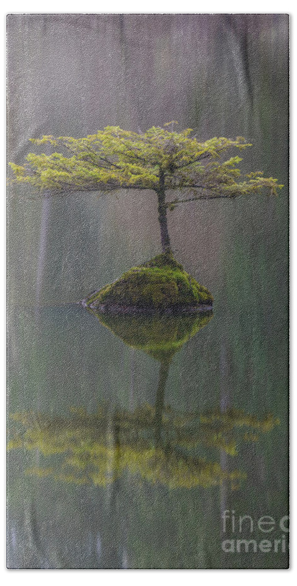 Bonsai Beach Towel featuring the photograph Waiting For a Friend by Carrie Cole