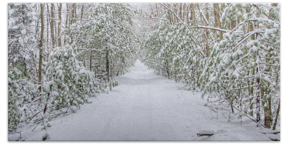 Snow Beach Towel featuring the photograph Walk in Snowy Woods by Donna Doherty
