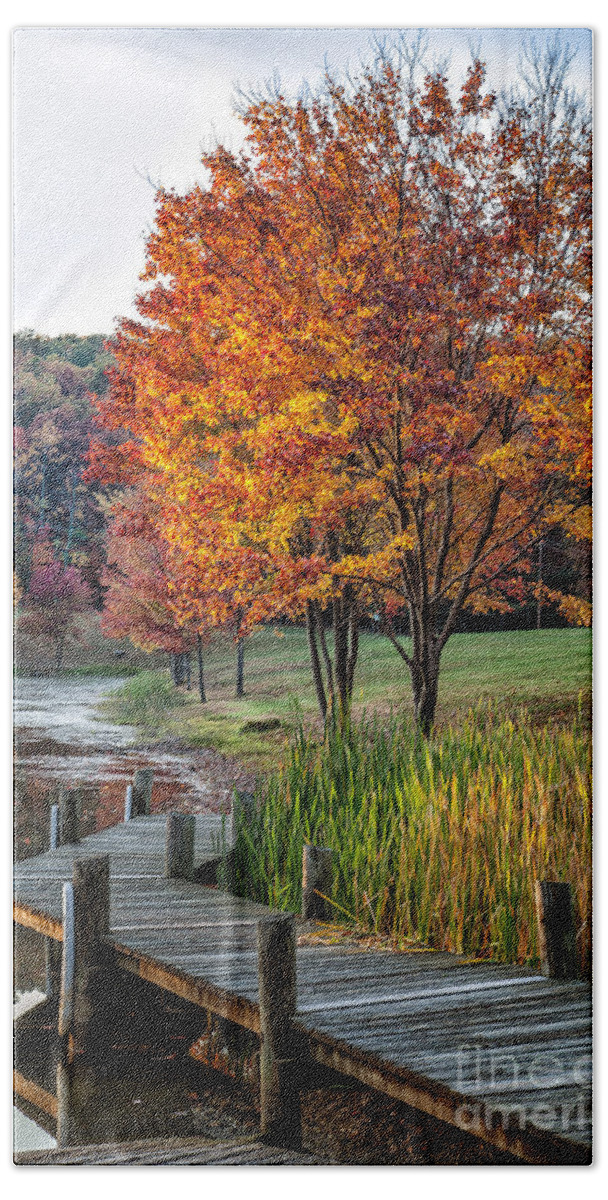 2012 Beach Towel featuring the photograph Walk Into Fall by Ronald Lutz