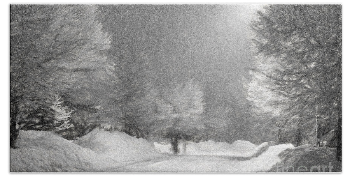 Winter Beach Towel featuring the photograph Winter Walk by Les Palenik