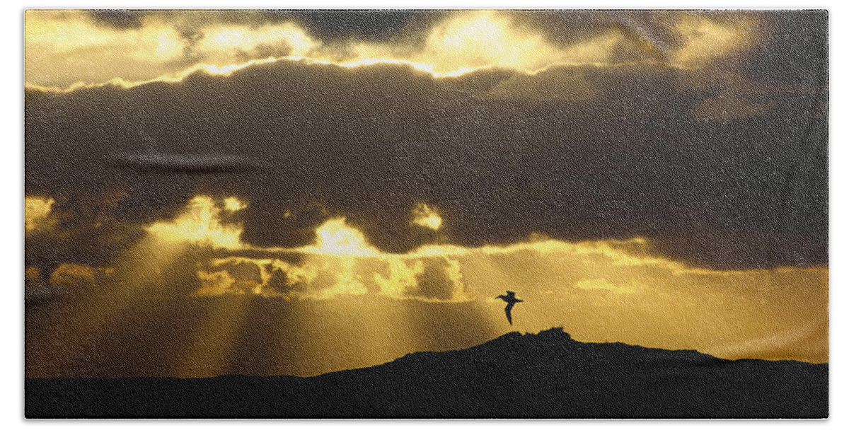 Feb0514 Beach Towel featuring the photograph Wandering Albatross Over Drake Passage by Colin Monteath