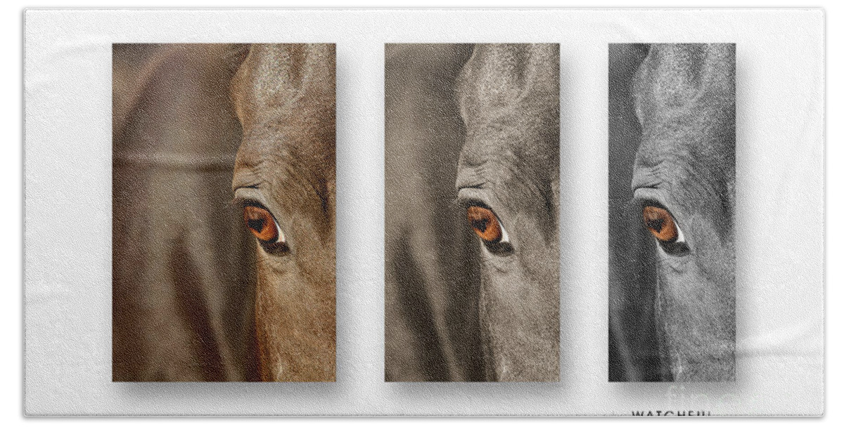 Nature Beach Towel featuring the photograph Watchful Triptych by Michelle Twohig