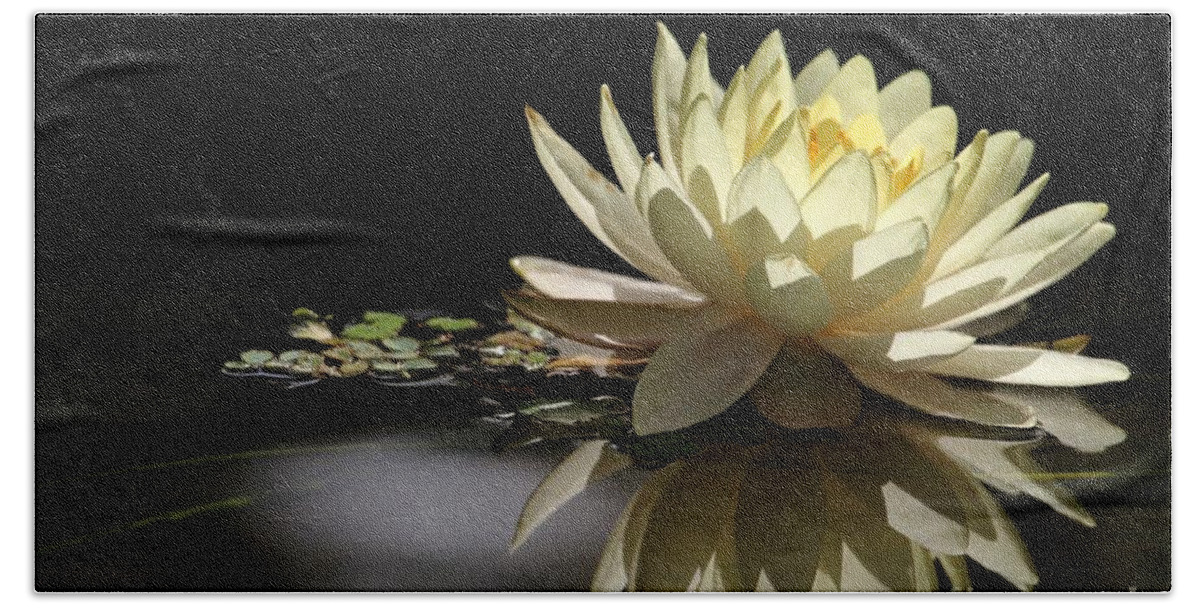 White Beach Towel featuring the photograph Water Lily Dream by Sabrina L Ryan