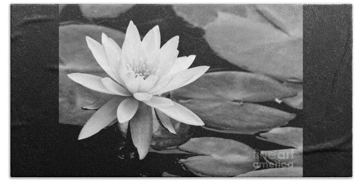 Landscape Beach Sheet featuring the photograph Water Lily in the Lily Pond by Sabrina L Ryan