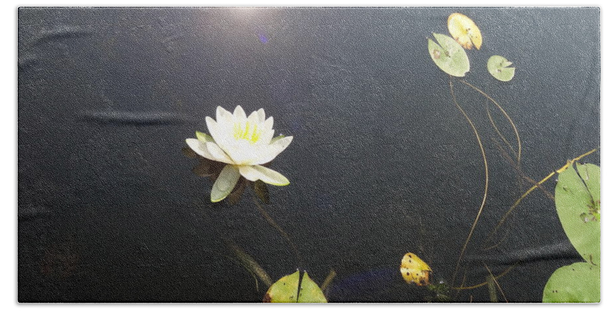 Water Lily Beach Towel featuring the photograph Water Lily by Laurel Best