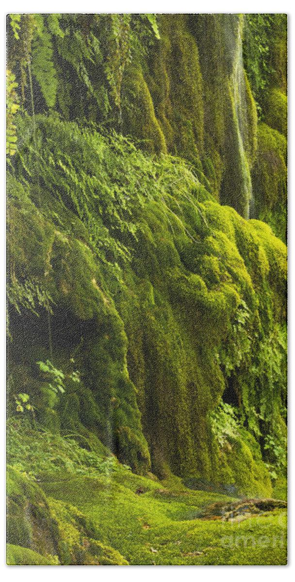 Landscape Beach Towel featuring the photograph Waterfall in green by Bryan Keil