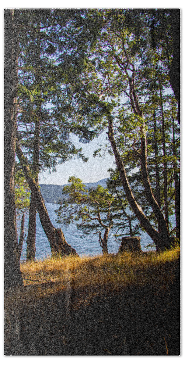 Nature Beach Towel featuring the photograph Welbury by Kathy Bassett