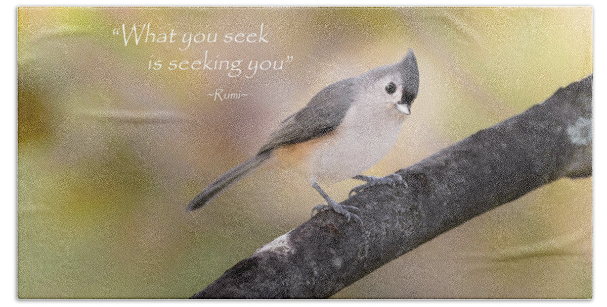 Quote Beach Towel featuring the photograph What You Seek by Bill Wakeley