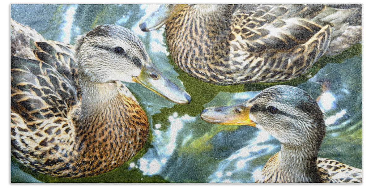 Brown Ducks Beach Towel featuring the photograph When Duck Bills Meet by Lesa Fine