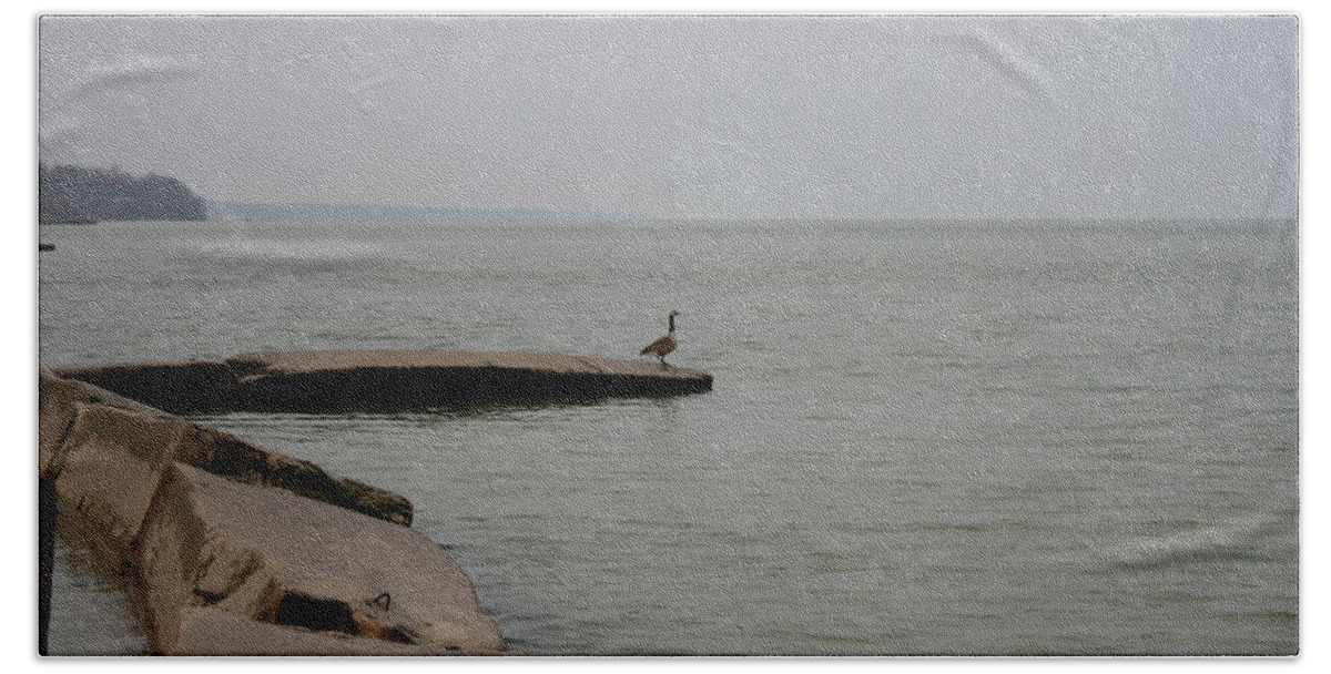 Canadian Geese Beach Towel featuring the photograph Solitude on Lake Erie by Valerie Collins