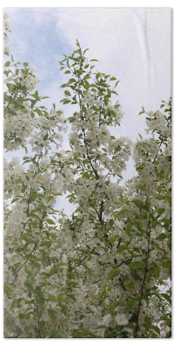 Flower Beach Towel featuring the photograph White Flowers on Branches by Michelle Miron-Rebbe