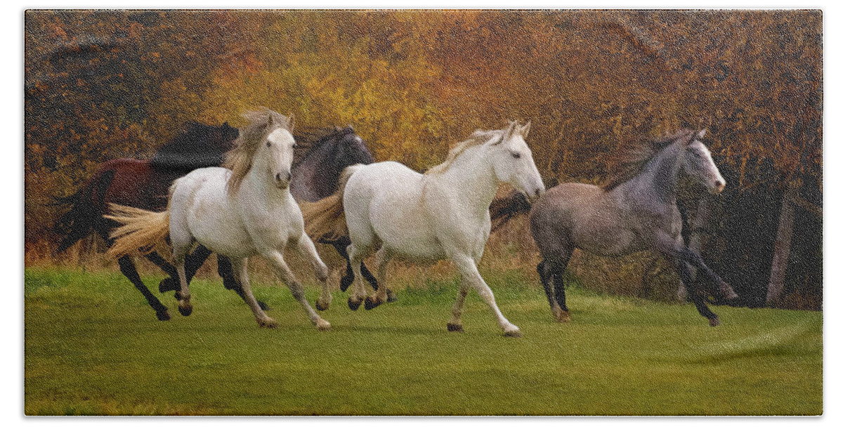 White Horse Vale Lipizzans Beach Towel featuring the photograph White Horse Vale Lipizzans by Wes and Dotty Weber