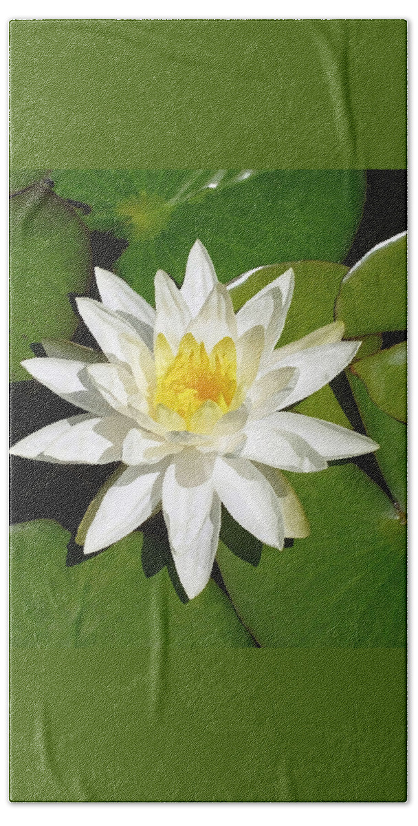 White Lotus Beach Towel featuring the painting White Lotus 1 by Ellen Henneke