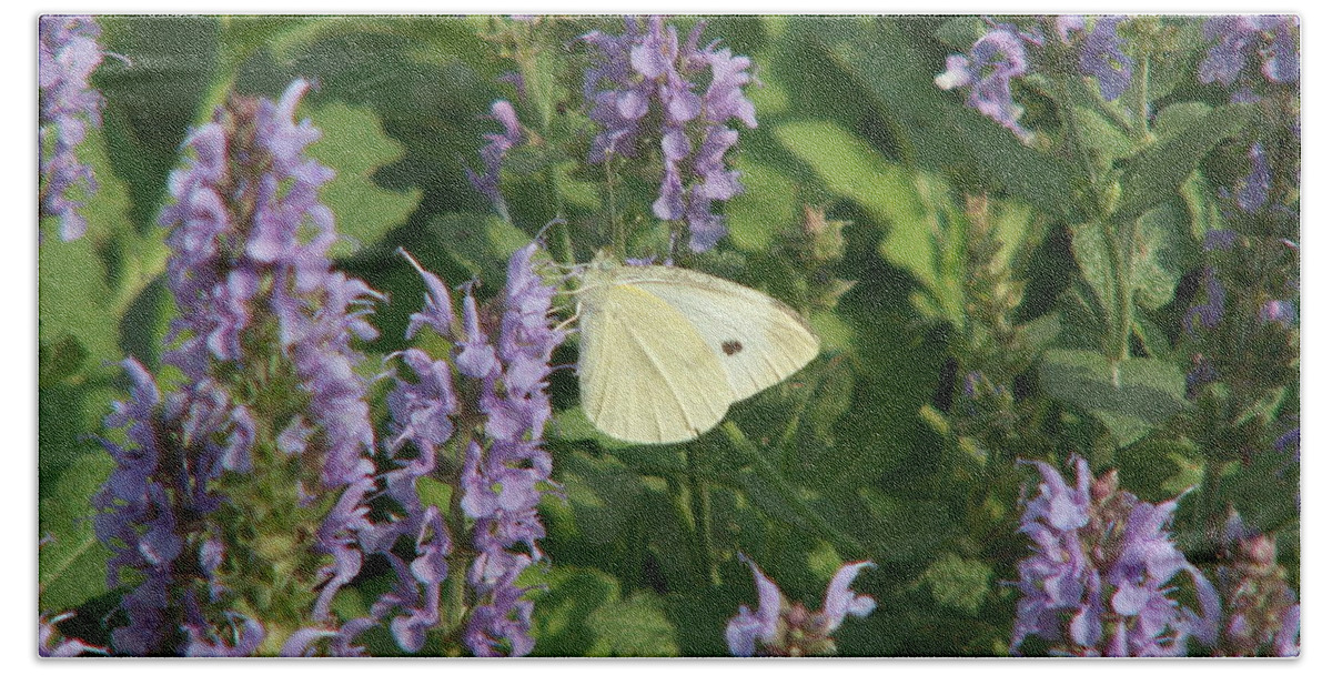 Sage Beach Towel featuring the photograph White on Purple Sage by Lisa Blake