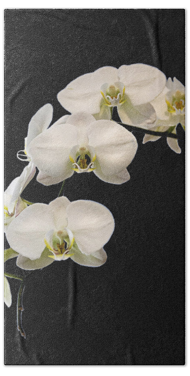 Flower Beach Towel featuring the photograph White Orchids by Endre Balogh