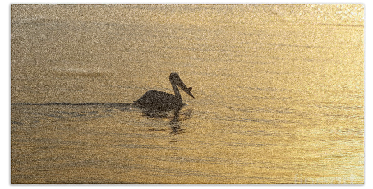White Beach Towel featuring the photograph White Pelican on Golden Lake by Joan Wallner