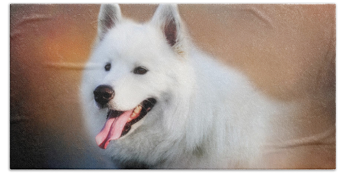 Dog Beach Towel featuring the photograph White Samoyed Portrait by Eleanor Abramson