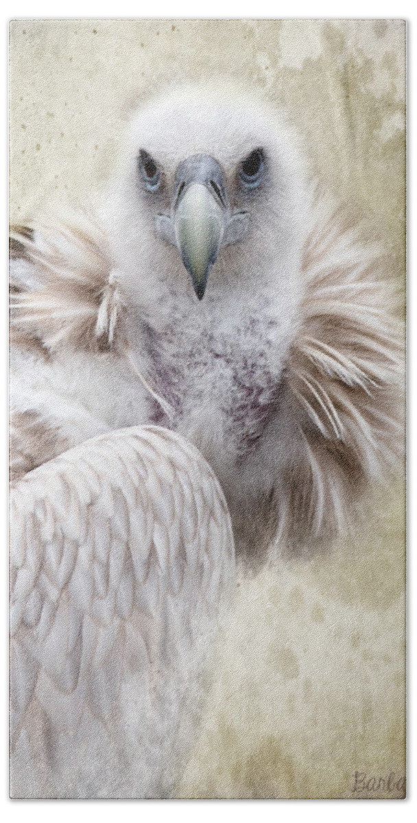 Vulture Beach Sheet featuring the photograph White Vulture by Barbara Orenya
